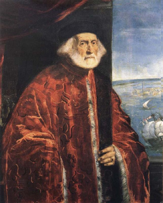 Jacopo Tintoretto Portrait of a Venetian Procurator China oil painting art